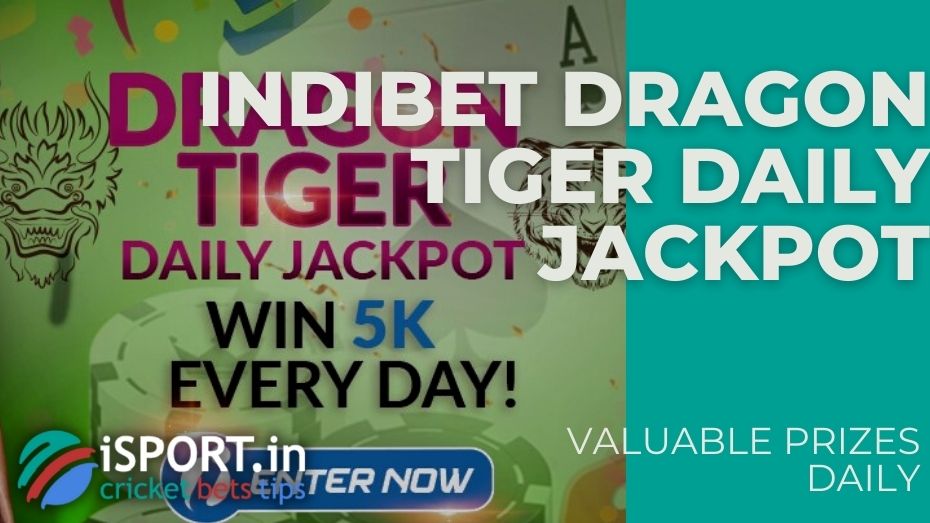 Indibet Dragon Tiger Daily Jackpot – Valuable prizes daily