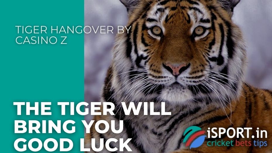 Tiger Hangover by Casino Z – The tiger will bring you good luck