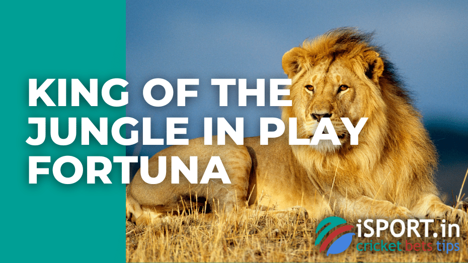 King of the Jungle in Play Fortuna
