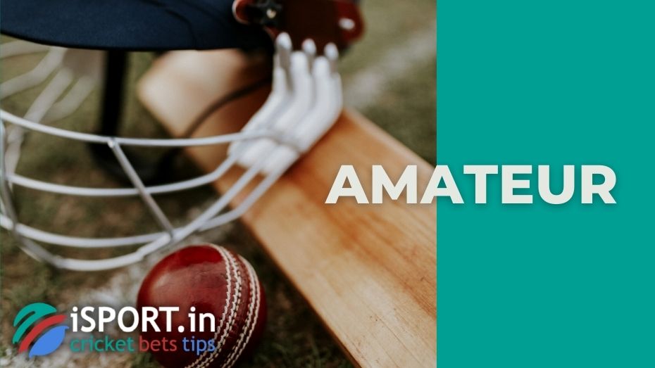 Amateur: the basic meaning
