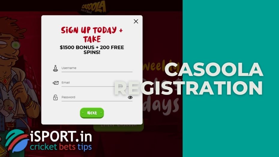 Casoola registration: filling out the registration form of the questionnaire