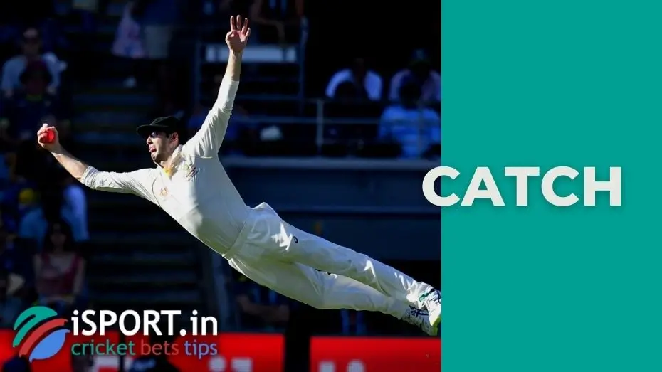 Catch 1 Catch