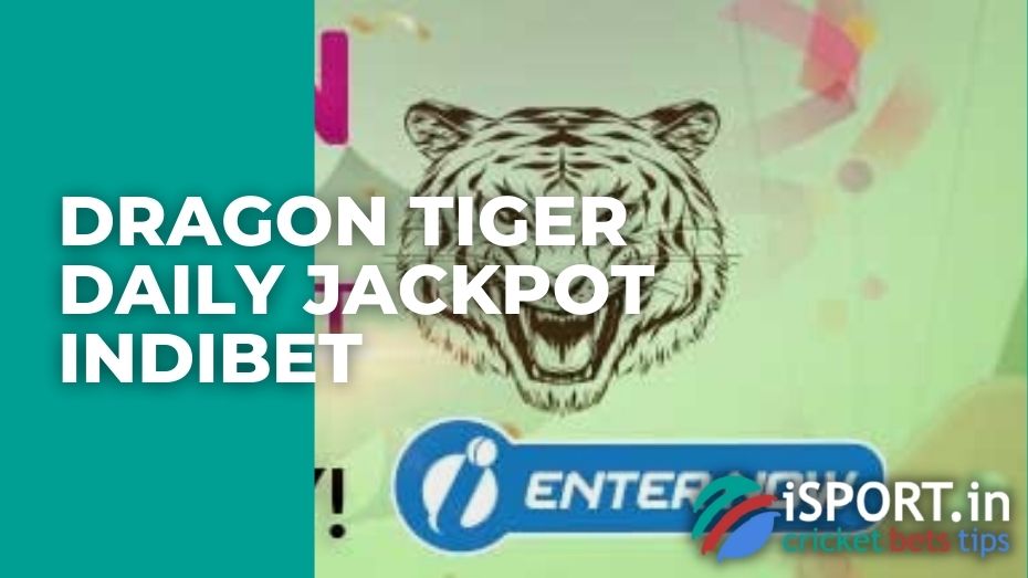 Dragon tiger daily jackpot Indibet