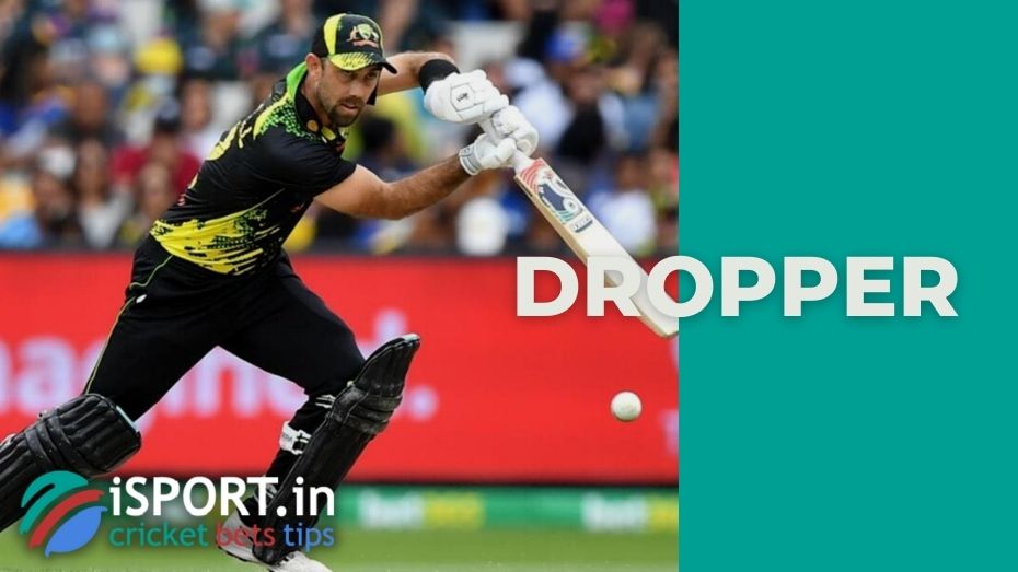 dropper-in-cricket-the-main-meaning-of-the-term-in-the-game