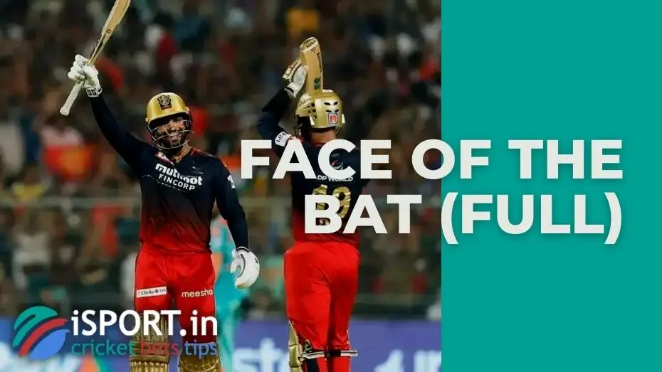 Face of the bat (full) 1 Face of the bat (full)