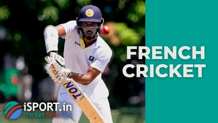 French cricket 1 French cricket