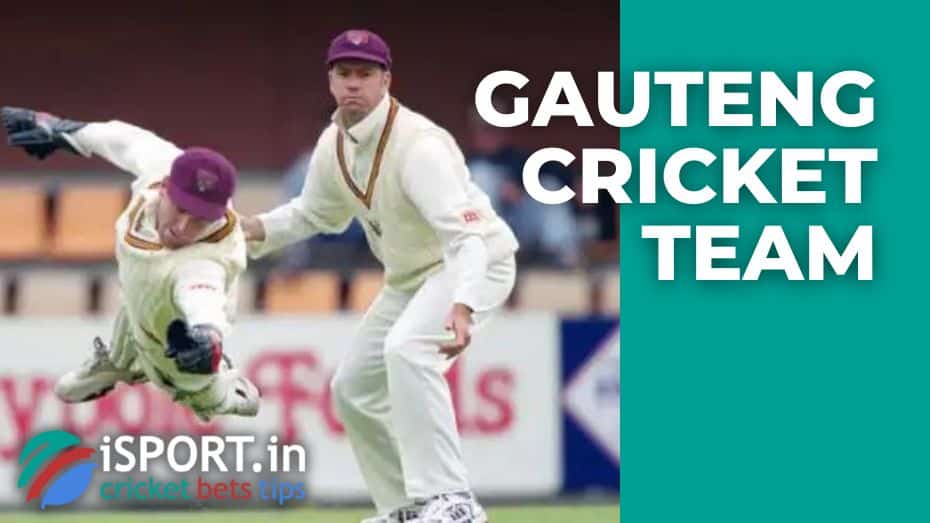 Gauteng cricket team: some important moments from the team's history