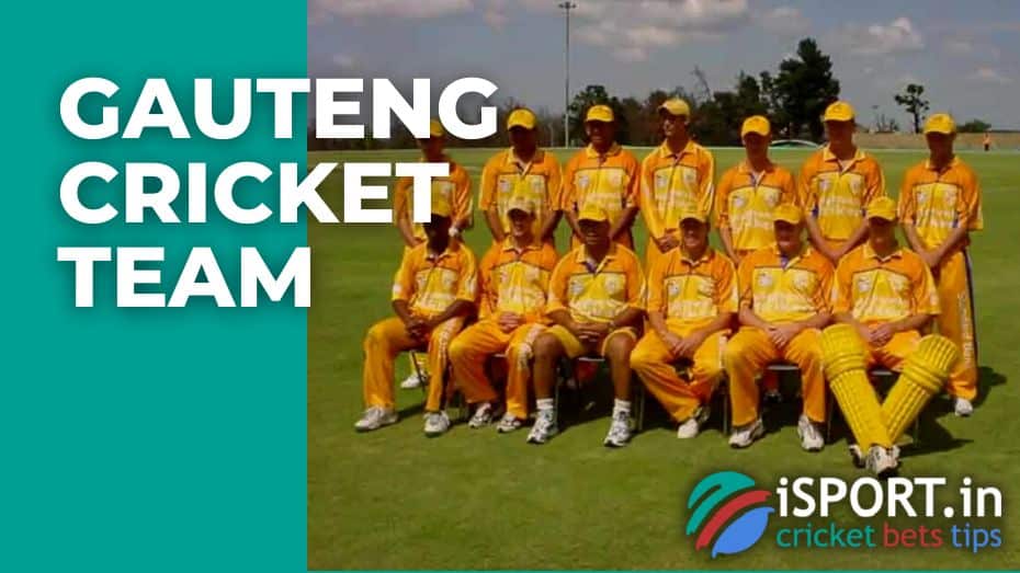 Gauteng cricket team