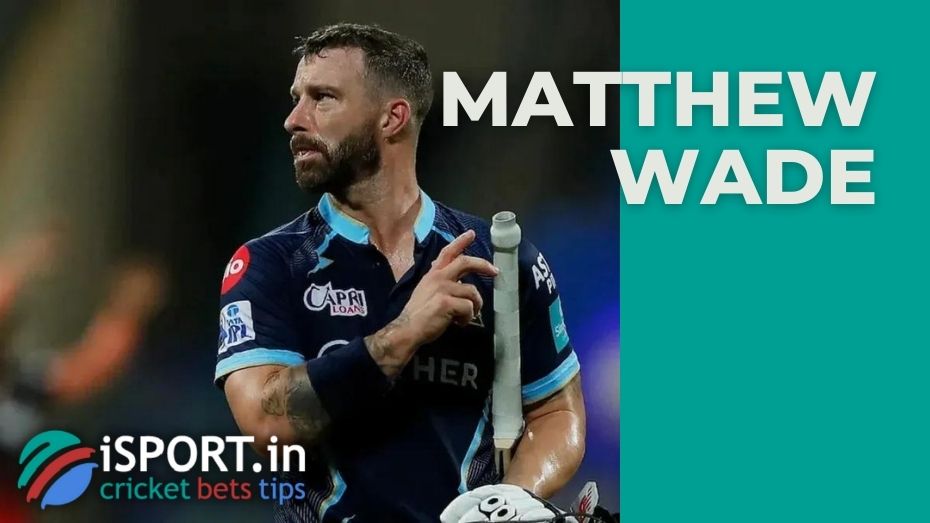 Matthew Wade praised Hardik Pandya