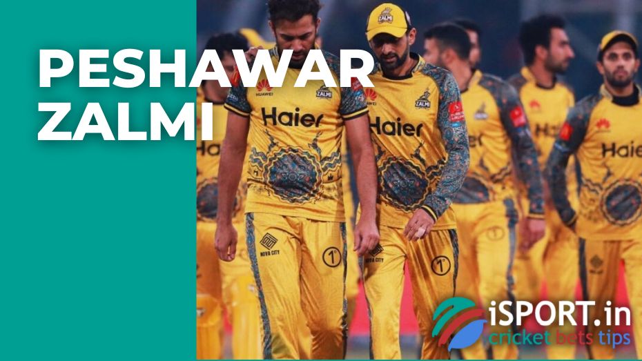 Peshawar Zalmi cricket team