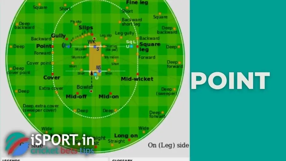 Point in cricket