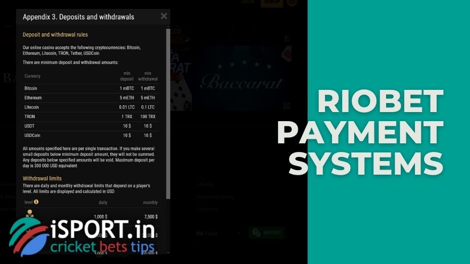 Riobet payment systems
