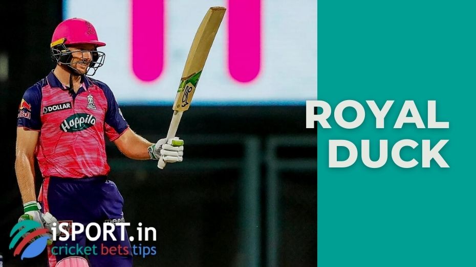 royal-duck-platinum-duck-an-overview-of-the-cricket-term