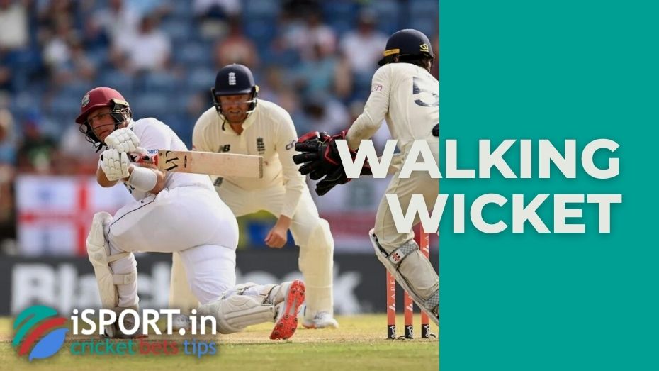 Walking wicket