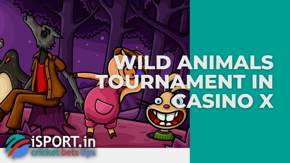 Wild Animals Tournament in Casino X: general information