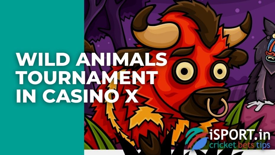 Wild Animals Tournament in Casino X